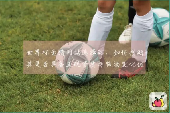 世界杯竞猜平台如何判断正规资质？